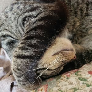 Meet your Posher, Darlene